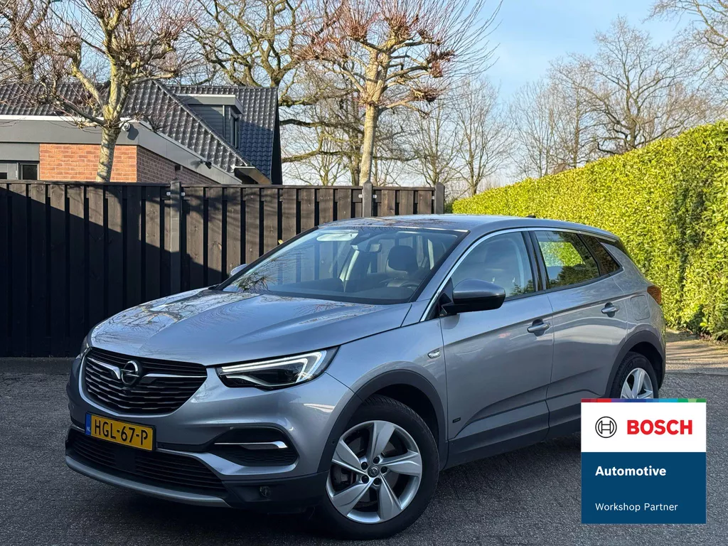 Opel Grandland X 1.6 Turbo Hybrid Business Edition Camera